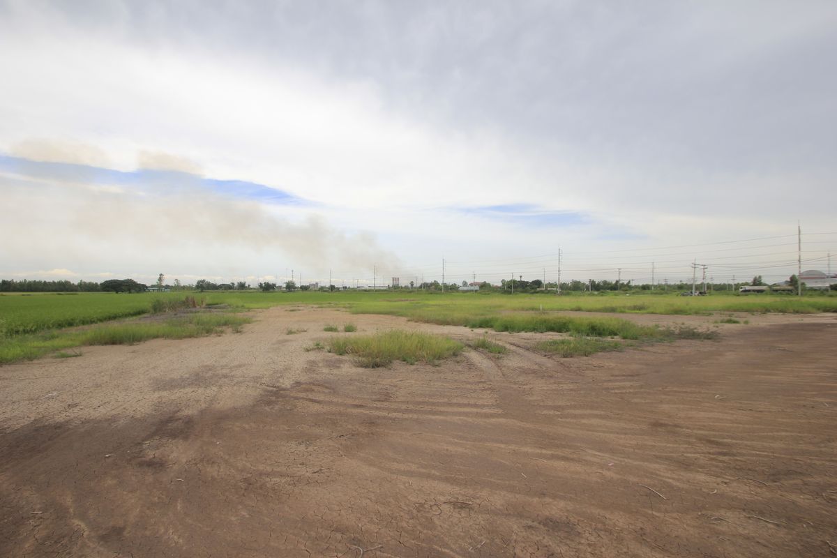 ขายที่ดินอยุธยา : ขายที่ดินบางไทรพระนครศรีอยุธยา น้ำไม่ท่วม ถนนปทุมธานีสามโคกเสนา ที่ดินถมแล้ว 6-3-11.5ไร่ ใกล้นิคมบ้านแพน ที่ดินสร้างบ้าน หอพัก โกดังเก็บสินค้า ศูนย์กระจายสินค้า 6,500บาท/วา