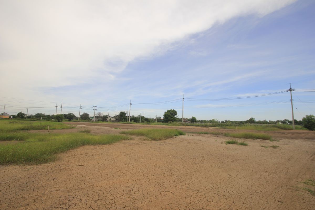 ขายที่ดินอยุธยา : ขายที่ดินบางไทรพระนครศรีอยุธยา น้ำไม่ท่วม ถนนปทุมธานีสามโคกเสนา ที่ดินถมแล้ว 6-3-11.5ไร่ ใกล้นิคมบ้านแพน ที่ดินสร้างบ้าน หอพัก โกดังเก็บสินค้า ศูนย์กระจายสินค้า 6,500บาท/วา