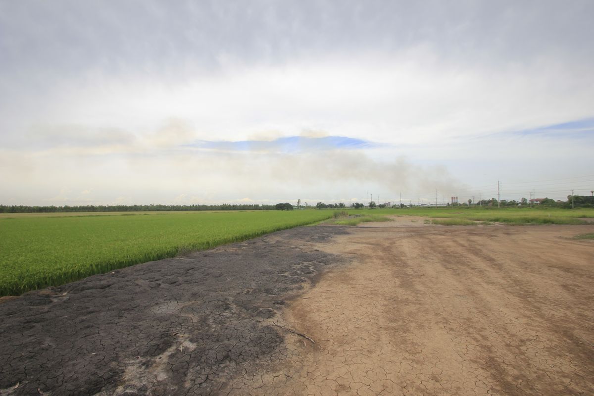 ขายที่ดินอยุธยา : ขายที่ดินบางไทรพระนครศรีอยุธยา น้ำไม่ท่วม ถนนปทุมธานีสามโคกเสนา ที่ดินถมแล้ว 6-3-11.5ไร่ ใกล้นิคมบ้านแพน ที่ดินสร้างบ้าน หอพัก โกดังเก็บสินค้า ศูนย์กระจายสินค้า 6,500บาท/วา