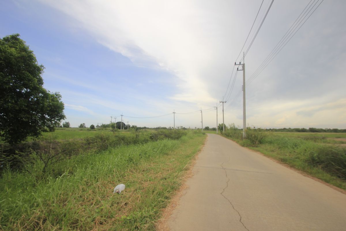 ขายที่ดินอยุธยา : ขายที่ดินบางไทรพระนครศรีอยุธยา น้ำไม่ท่วม ถนนปทุมธานีสามโคกเสนา ที่ดินถมแล้ว 6-3-11.5ไร่ ใกล้นิคมบ้านแพน ที่ดินสร้างบ้าน หอพัก โกดังเก็บสินค้า ศูนย์กระจายสินค้า 6,500บาท/วา