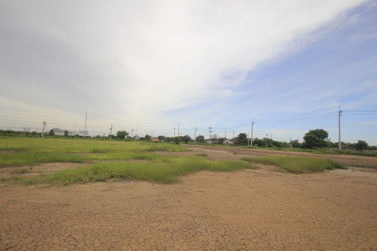 ขายที่ดินอยุธยา : ขายที่ดินบางไทรพระนครศรีอยุธยา น้ำไม่ท่วม ถนนปทุมธานีสามโคกเสนา ที่ดินถมแล้ว 6-3-11.5ไร่ ใกล้นิคมบ้านแพน ที่ดินสร้างบ้าน หอพัก โกดังเก็บสินค้า ศูนย์กระจายสินค้า 6,500บาท/วา