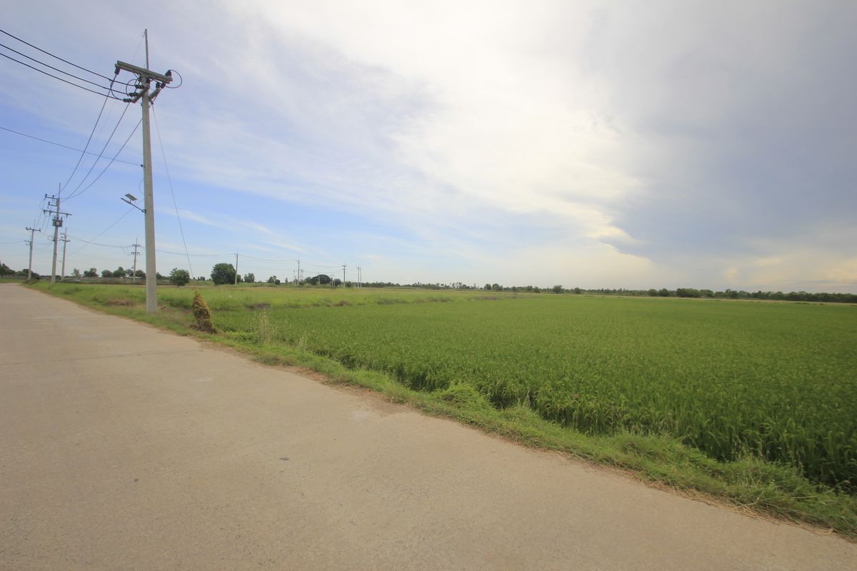 ขายที่ดินอยุธยา : ขายที่ดินบางไทรพระนครศรีอยุธยา น้ำไม่ท่วม ถนนปทุมธานีสามโคกเสนา ที่ดินถมแล้ว 6-3-11.5ไร่ ใกล้นิคมบ้านแพน ที่ดินสร้างบ้าน หอพัก โกดังเก็บสินค้า ศูนย์กระจายสินค้า 6,500บาท/วา