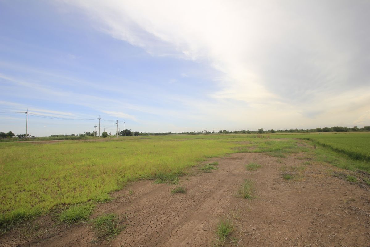 ขายที่ดินอยุธยา : ขายที่ดินบางไทรพระนครศรีอยุธยา น้ำไม่ท่วม ถนนปทุมธานีสามโคกเสนา ที่ดินถมแล้ว 6-3-11.5ไร่ ใกล้นิคมบ้านแพน ที่ดินสร้างบ้าน หอพัก โกดังเก็บสินค้า ศูนย์กระจายสินค้า 6,500บาท/วา