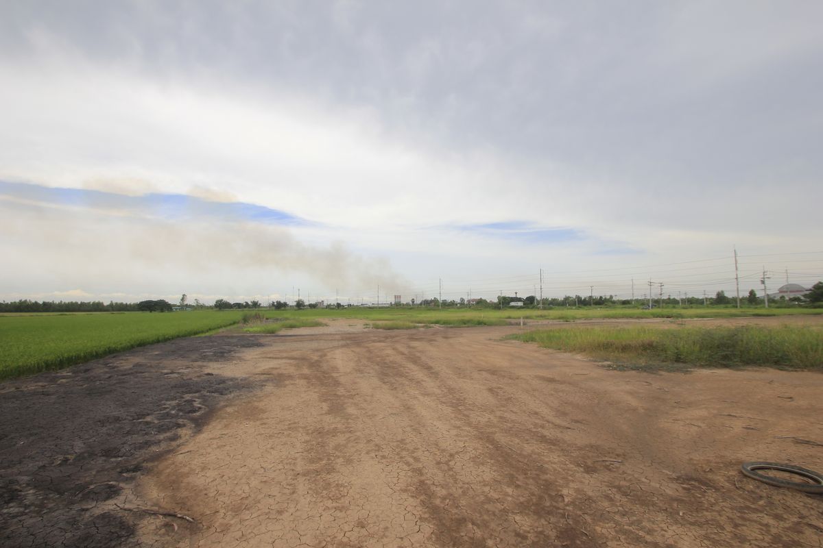 ขายที่ดินอยุธยา : ขายที่ดินบางไทรพระนครศรีอยุธยา น้ำไม่ท่วม ถนนปทุมธานีสามโคกเสนา ที่ดินถมแล้ว 6-3-11.5ไร่ ใกล้นิคมบ้านแพน ที่ดินสร้างบ้าน หอพัก โกดังเก็บสินค้า ศูนย์กระจายสินค้า 6,500บาท/วา