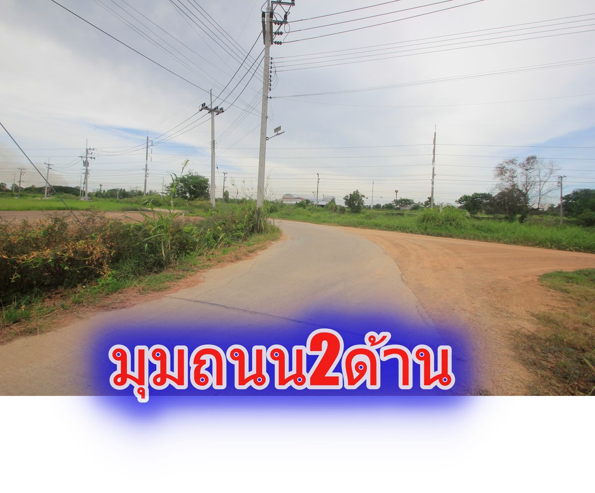 ขายที่ดินอยุธยา : ขายที่ดินบางไทรพระนครศรีอยุธยา น้ำไม่ท่วม ถนนปทุมธานีสามโคกเสนา ที่ดินถมแล้ว 6-3-11.5ไร่ ใกล้นิคมบ้านแพน ที่ดินสร้างบ้าน หอพัก โกดังเก็บสินค้า ศูนย์กระจายสินค้า 6,500บาท/วา
