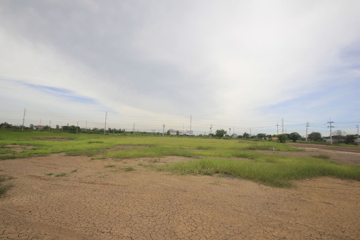 ขายที่ดินอยุธยา : ขายที่ดินบางไทรพระนครศรีอยุธยา น้ำไม่ท่วม ถนนปทุมธานีสามโคกเสนา ที่ดินถมแล้ว 6-3-11.5ไร่ ใกล้นิคมบ้านแพน ที่ดินสร้างบ้าน หอพัก โกดังเก็บสินค้า ศูนย์กระจายสินค้า 6,500บาท/วา