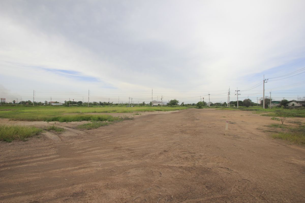 ขายที่ดินอยุธยา : ขายที่ดินบางไทรพระนครศรีอยุธยา น้ำไม่ท่วม ถนนปทุมธานีสามโคกเสนา ที่ดินถมแล้ว 6-3-11.5ไร่ ใกล้นิคมบ้านแพน ที่ดินสร้างบ้าน หอพัก โกดังเก็บสินค้า ศูนย์กระจายสินค้า 6,500บาท/วา