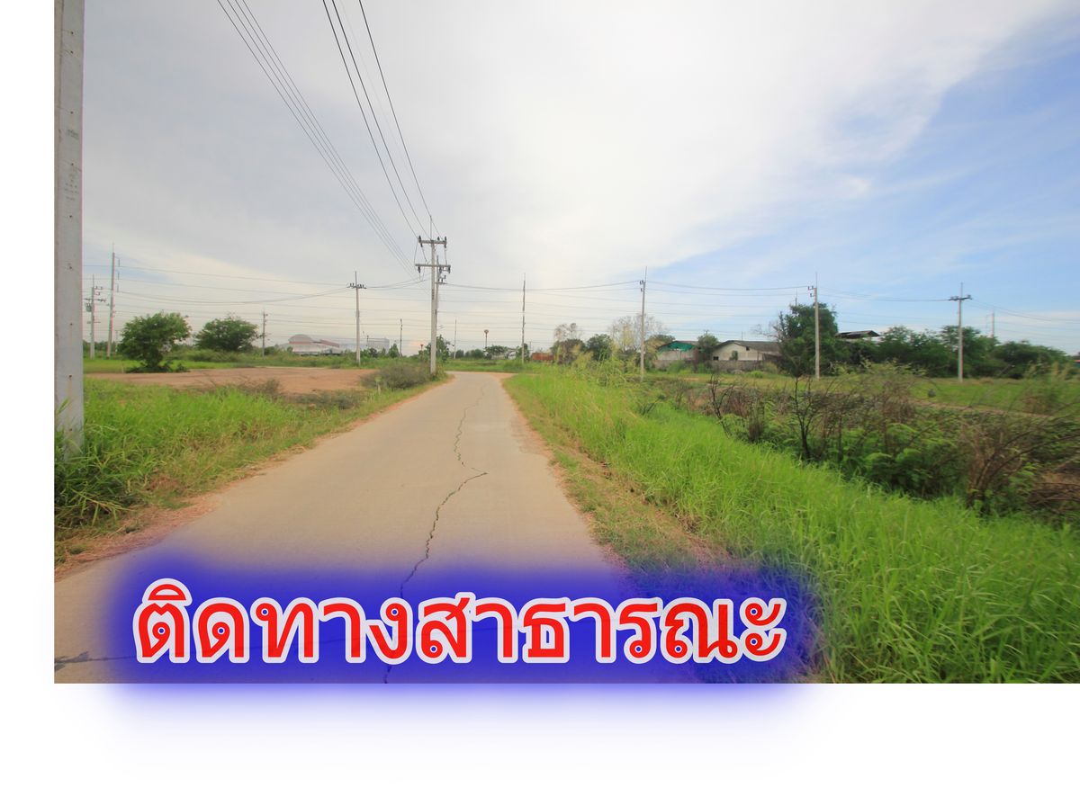 ขายที่ดินอยุธยา : ขายที่ดินบางไทรพระนครศรีอยุธยา น้ำไม่ท่วม ถนนปทุมธานีสามโคกเสนา ที่ดินถมแล้ว 6-3-11.5ไร่ ใกล้นิคมบ้านแพน ที่ดินสร้างบ้าน หอพัก โกดังเก็บสินค้า ศูนย์กระจายสินค้า 6,500บาท/วา
