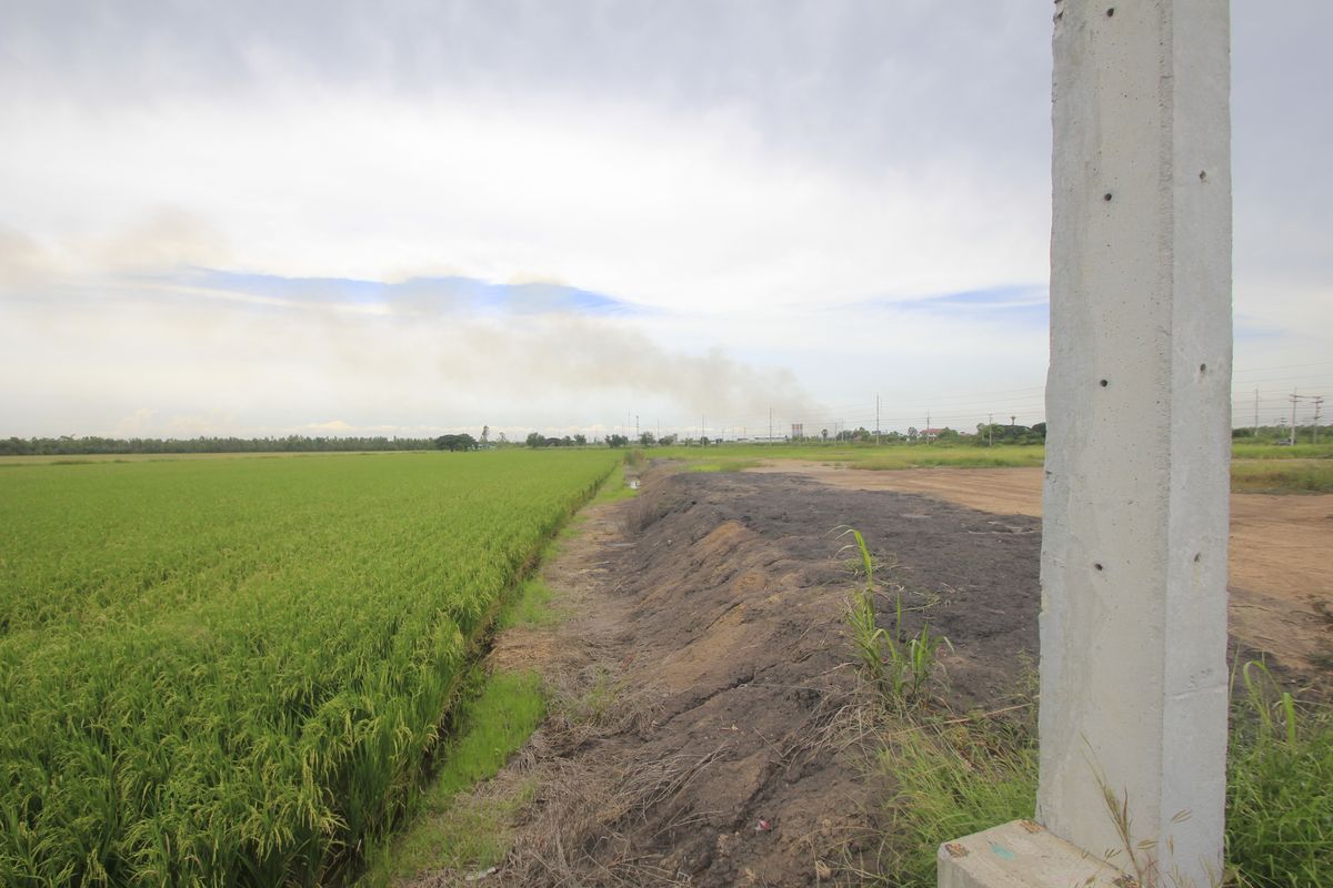 ขายที่ดินอยุธยา : ขายที่ดินบางไทรพระนครศรีอยุธยา น้ำไม่ท่วม ถนนปทุมธานีสามโคกเสนา ที่ดินถมแล้ว 6-3-11.5ไร่ ใกล้นิคมบ้านแพน ที่ดินสร้างบ้าน หอพัก โกดังเก็บสินค้า ศูนย์กระจายสินค้า 6,500บาท/วา