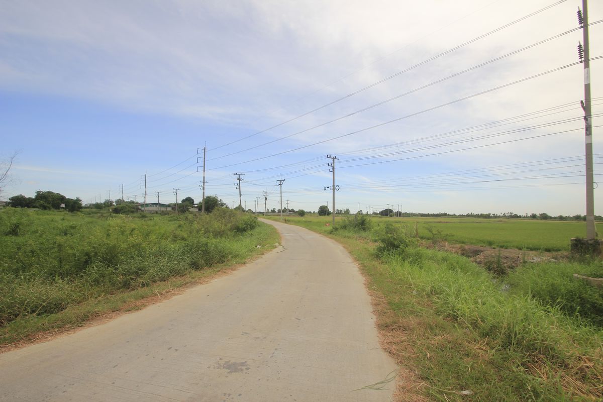 ขายที่ดินอยุธยา : ขายที่ดินบางไทรพระนครศรีอยุธยา น้ำไม่ท่วม ถนนปทุมธานีสามโคกเสนา ที่ดินถมแล้ว 6-3-11.5ไร่ ใกล้นิคมบ้านแพน ที่ดินสร้างบ้าน หอพัก โกดังเก็บสินค้า ศูนย์กระจายสินค้า 6,500บาท/วา