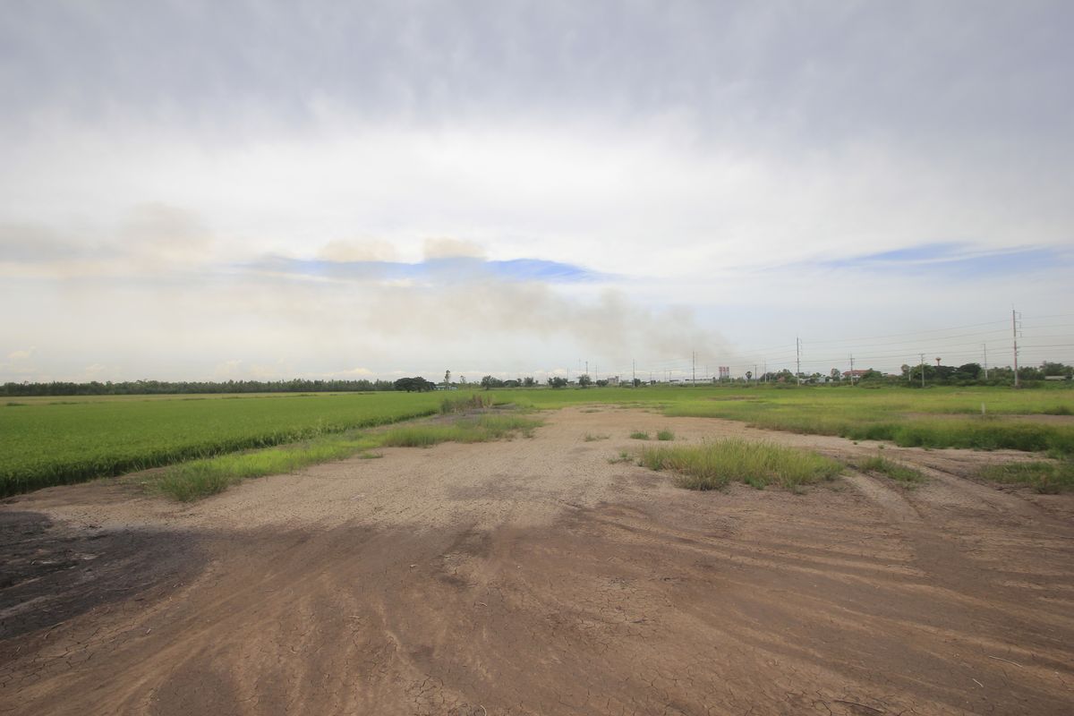 ขายที่ดินอยุธยา : ขายที่ดินบางไทรพระนครศรีอยุธยา น้ำไม่ท่วม ถนนปทุมธานีสามโคกเสนา ที่ดินถมแล้ว 6-3-11.5ไร่ ใกล้นิคมบ้านแพน ที่ดินสร้างบ้าน หอพัก โกดังเก็บสินค้า ศูนย์กระจายสินค้า 6,500บาท/วา