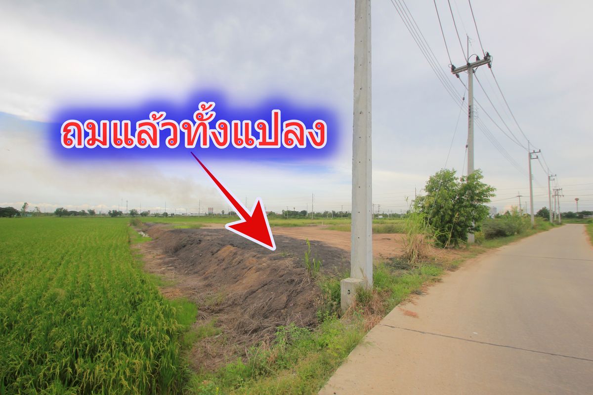 ขายที่ดินอยุธยา : ขายที่ดินบางไทรพระนครศรีอยุธยา น้ำไม่ท่วม ถนนปทุมธานีสามโคกเสนา ที่ดินถมแล้ว 6-3-11.5ไร่ ใกล้นิคมบ้านแพน ที่ดินสร้างบ้าน หอพัก โกดังเก็บสินค้า ศูนย์กระจายสินค้า 6,500บาท/วา
