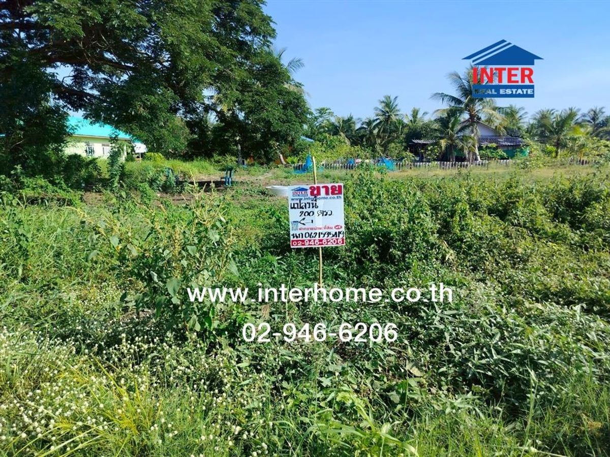 ขายที่ดินนนทบุรี บางใหญ่ บางบัวทอง : ที่ดินเปล่า 200 ตร.ว. ที่ดินเปล่า ใกล้วิทยาลัยเทคนิคนนทบุรี ถนน340 บางบัวทอง-สุพรรณ ไทรน้อย นนทบุรี