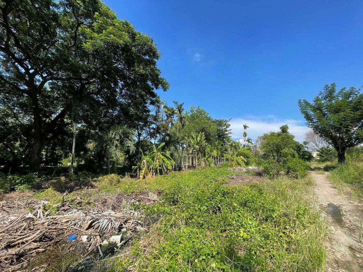 ขายที่ดินปทุมธานี รังสิต ธรรมศาสตร์ : ขายที่ดิน ใกล้ มหาวิทยาลัยรังสิต เหมาะสำหรับทำ อพาร์ทเม้นท์ คอนโด 4-3-49 ไร่