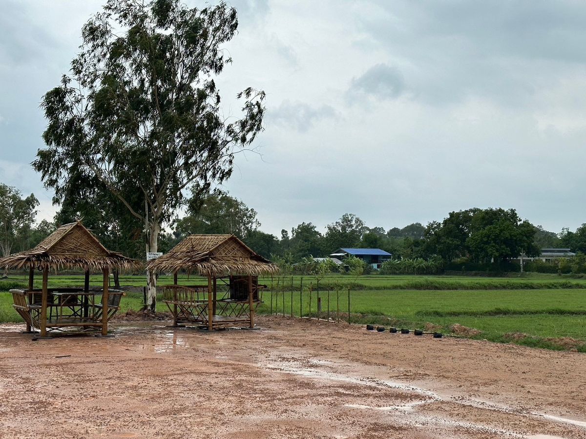 ขายที่ดินนครนายก : ⛰️💰 หลีกหนีความวุ่นวาย! มาอยู่นครนายก ที่ดิน วิวเขาพระ 270 องศา เพียง ตร.ว. ละ 4,999 บาท! 💰⛰️