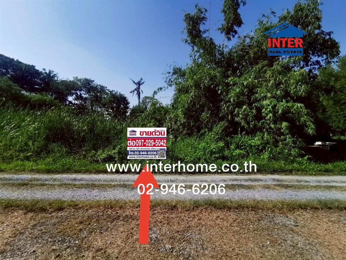 For SaleLandPhutthamonthon, Salaya : Blank land 275 sq.w. Land near Sarasas Witaed Thonburi School Phutthamonthon Sai 3 Road, Bang Khae District, Bangkok