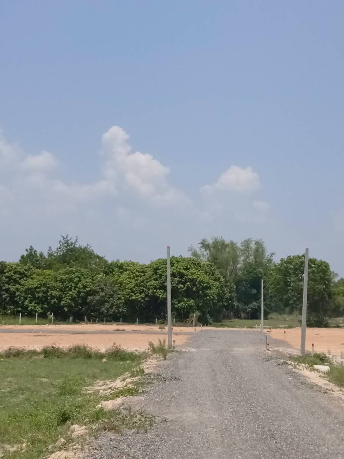 ขายที่ดินนครนายก : ⛰️💰 หลีกหนีความวุ่นวาย! มาอยู่นครนายก ที่ดิน วิวเขาพระ 270 องศา เพียง ตร.ว. ละ 4,999 บาท! 💰⛰️