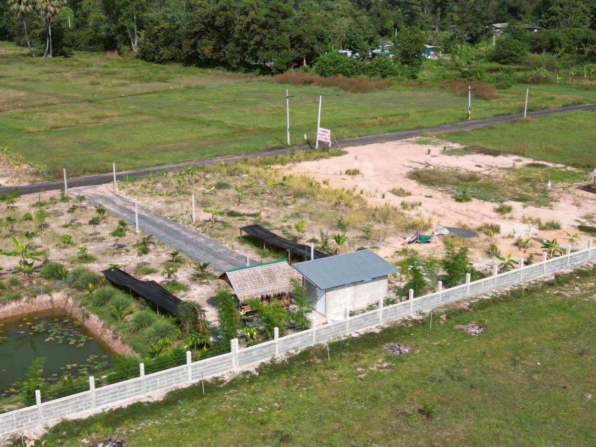 ขายที่ดินนครนายก : 🌄🏡 โอกาสทอง! ที่ดิน 1 ไร่ นครนายก-บ้านนา-บ้านพร้าว ติดถนนลาดยาง! 🏡