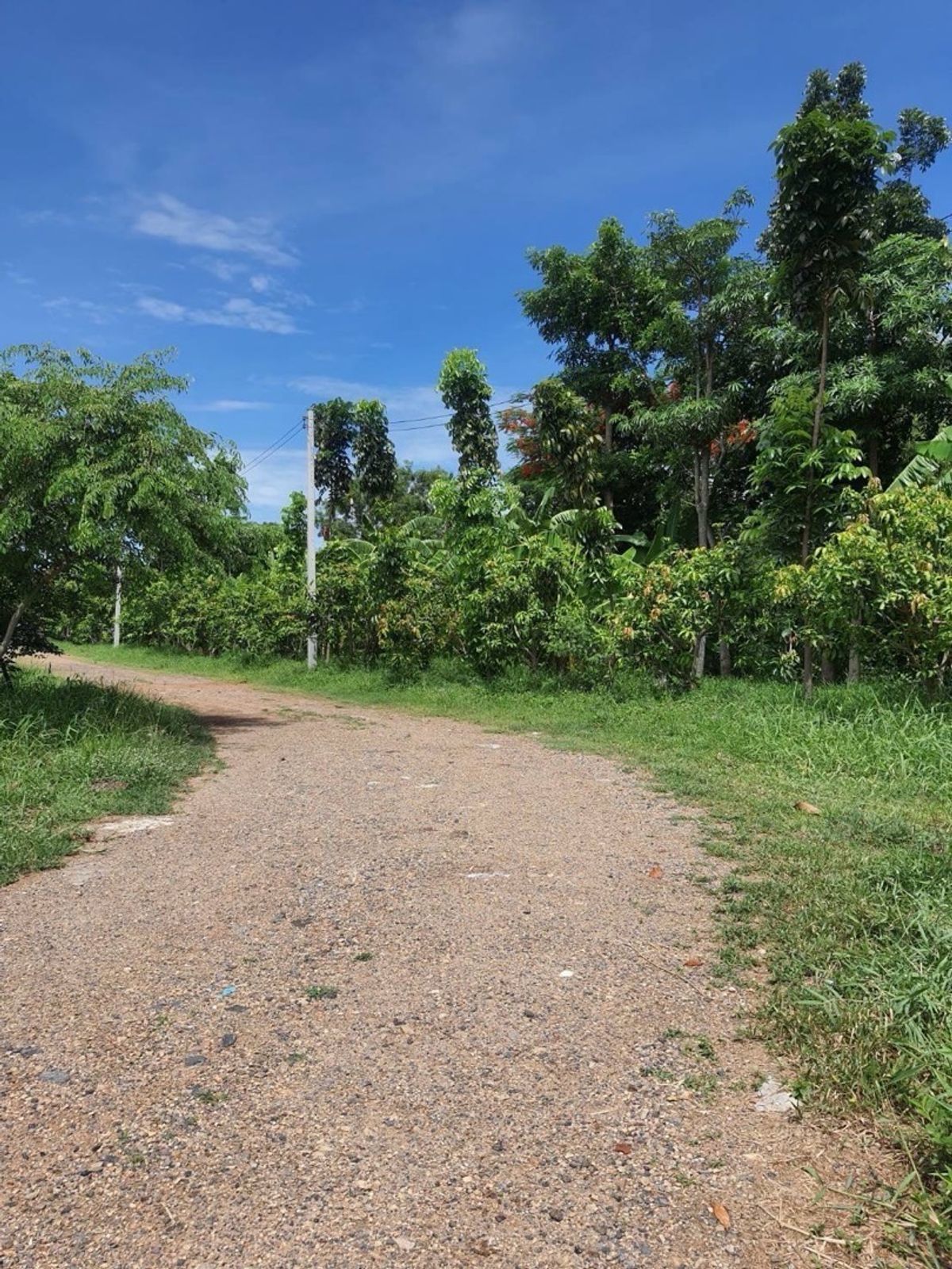 ขายที่ดินปทุมธานี รังสิต ธรรมศาสตร์ : 📢👇 โอกาสพิเศษสำหรับนักลงทุนและผู้ที่ต้องการที่ดินติดแม่น้ำเจ้าพระยา สามโคก ไม่ไกลจากกรุงเทพ บรรยากาศดี วิวสวย เหมาะสำหรับสร้างบ้านพักตากอากาศ, รีสอร์ท, หรือโปรเจกต์ลงทุนอื่นๆ 