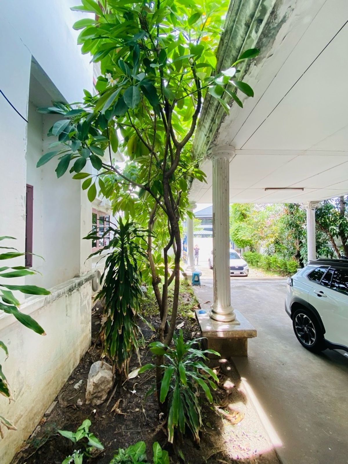 For SaleHouseOnnut, Udomsuk : Selling for only 28.9 million baht, large detached house for sale, 2 alleys intersecting each other. Wachiratham Sathit 44 – Sukhumvit 101/1 Phra Khanong, Bangkok, city center location, near BTS, near BITEC Bangna, True Digital Park and expressway entranc