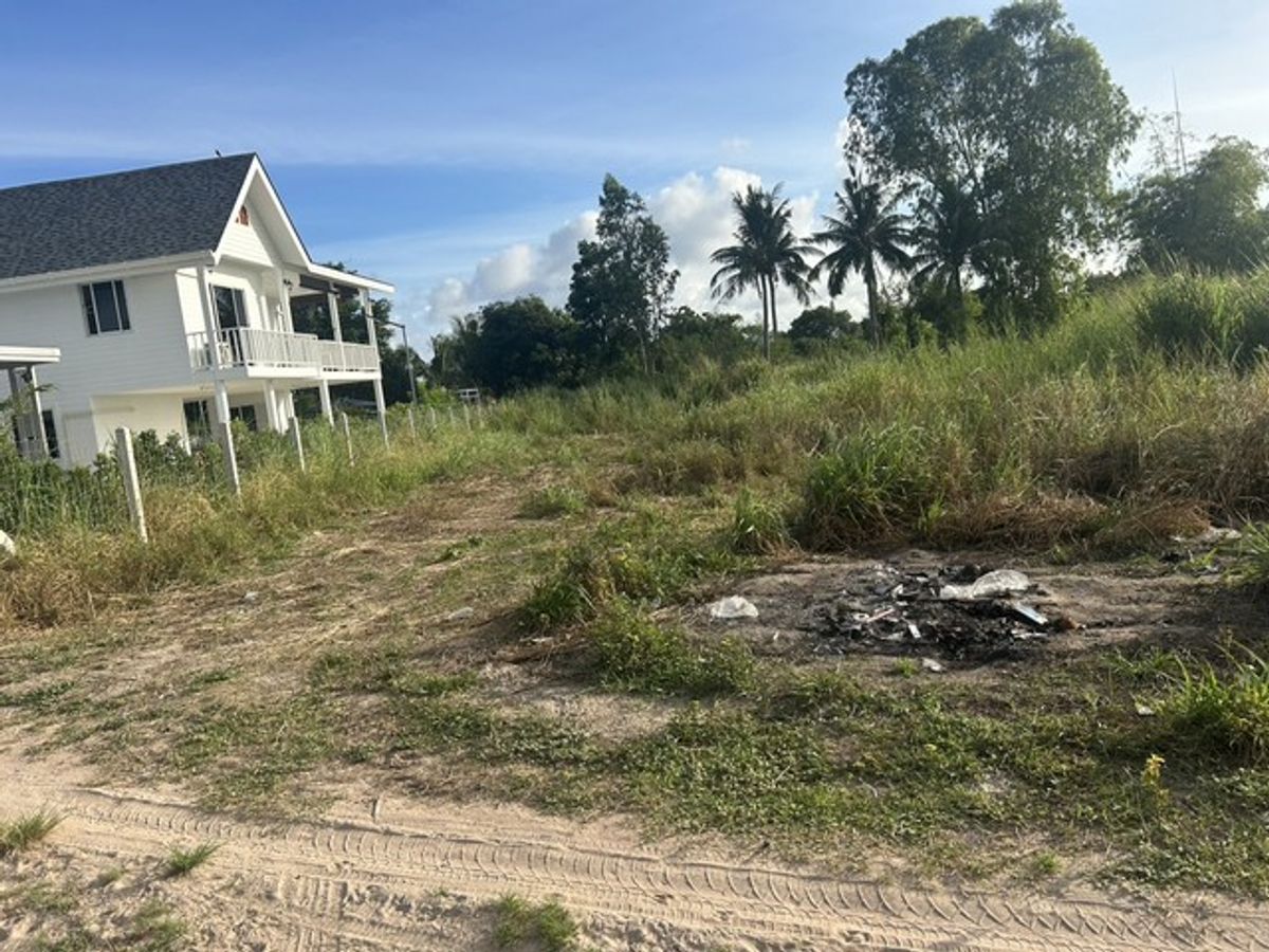 For SaleLandPattaya, Bangsaen, Chonburi : [Sell] 200 sq.m. of land | facing the south | near Wat Phibun Sandan School | Freeon | Special discount of 3.5 million