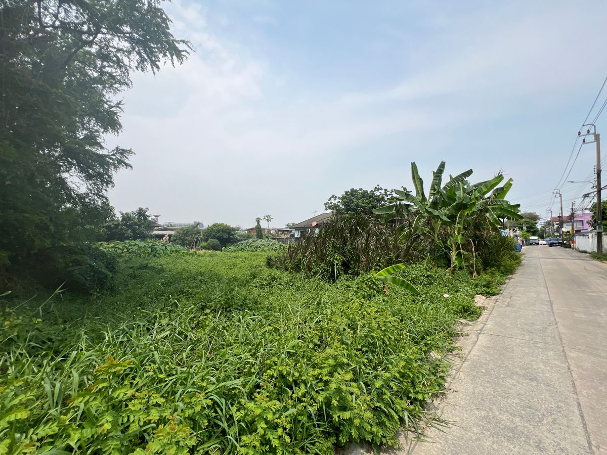 ขายที่ดินวิภาวดี ดอนเมือง หลักสี่ : ขายถูก ที่ดินเปล่า พหลโยธิน 54/1 แยก 2-4 ขนาด 212 ตรว. น้ำไฟเข้าถึง