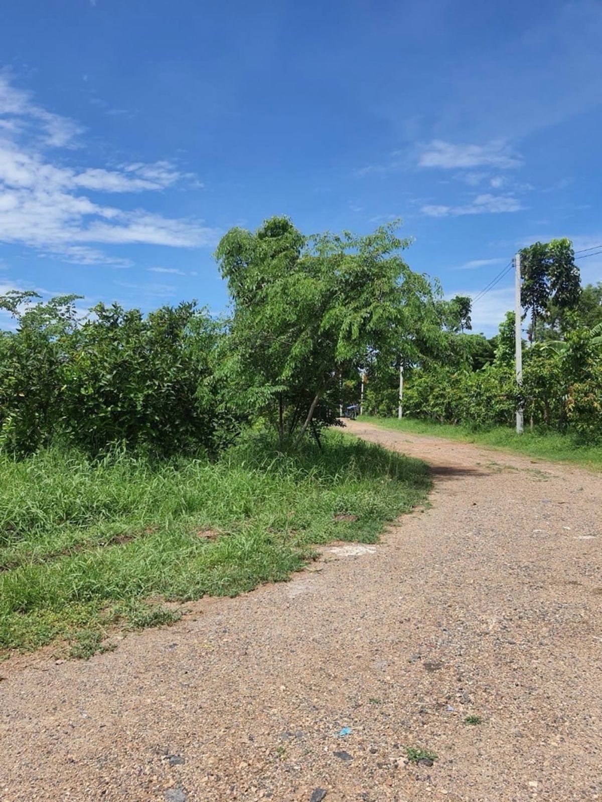 ขายที่ดินปทุมธานี รังสิต ธรรมศาสตร์ : 📢👇 โอกาสพิเศษสำหรับนักลงทุนและผู้ที่ต้องการที่ดินติดแม่น้ำเจ้าพระยา สามโคก ไม่ไกลจากกรุงเทพ บรรยากาศดี วิวสวย เหมาะสำหรับสร้างบ้านพักตากอากาศ, รีสอร์ท, หรือโปรเจกต์ลงทุนอื่นๆ 