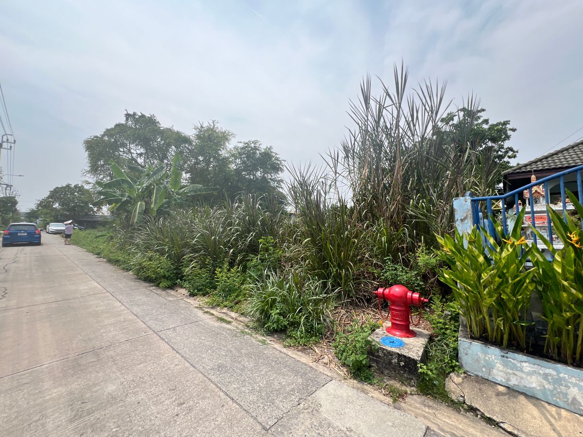 ขายที่ดินวิภาวดี ดอนเมือง หลักสี่ : ขายถูก ที่ดินเปล่า พหลโยธิน 54/1 แยก 2-4 ขนาด 212 ตรว. น้ำไฟเข้าถึง