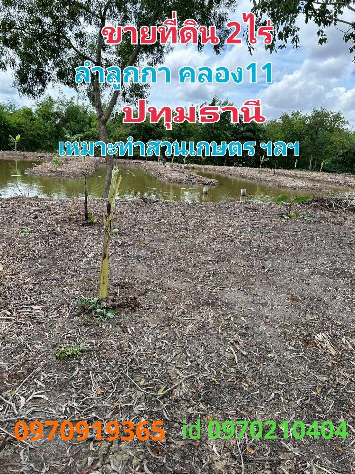 ขายที่ดินปทุมธานี รังสิต ธรรมศาสตร์ : ขาย ที่ดิน ลำลูกกา 2 ไร่ เหมาะทำสวนเกษตร คลอง11ปทุมธานี