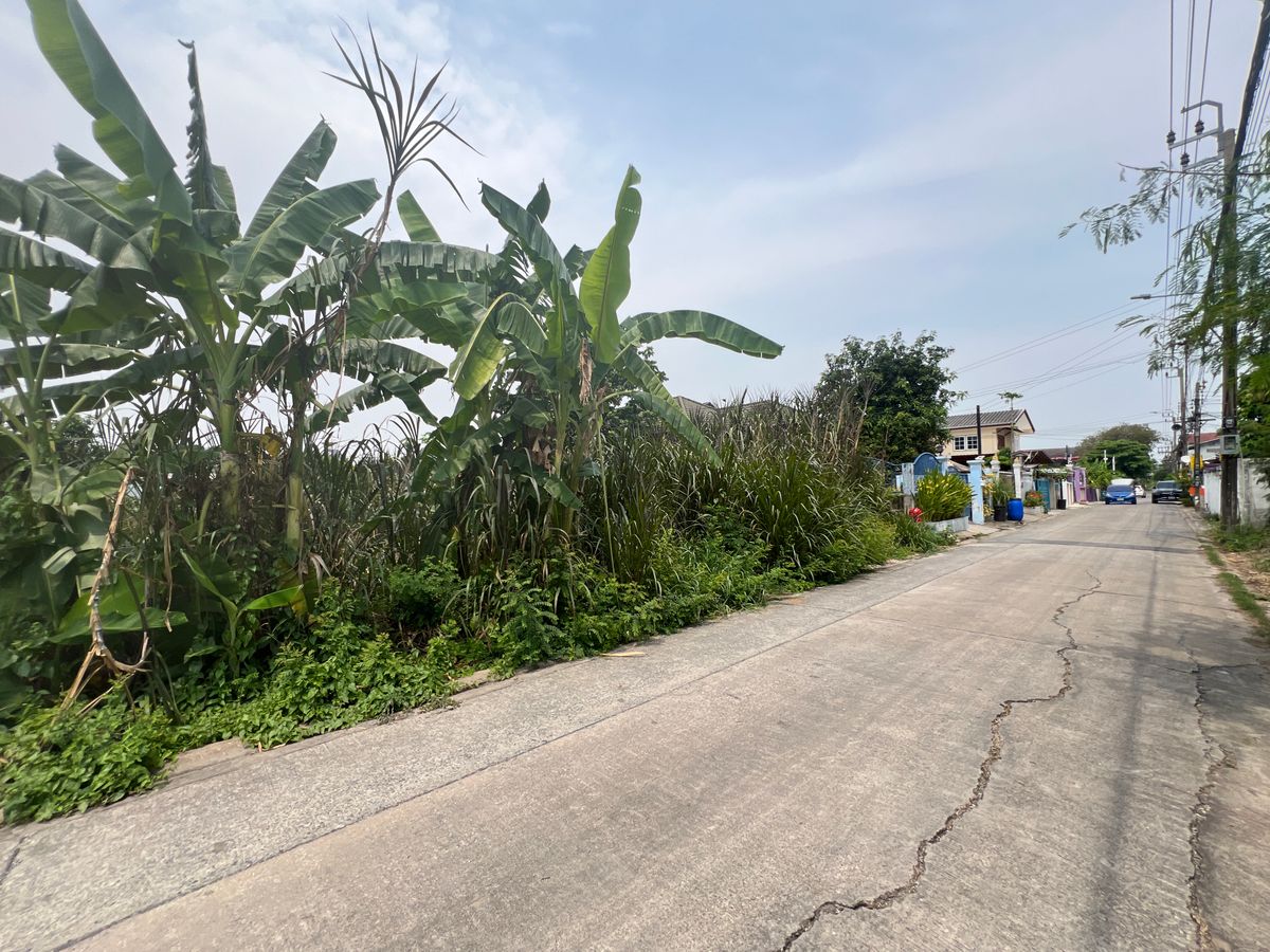 ขายที่ดินวิภาวดี ดอนเมือง หลักสี่ : ขายถูก ที่ดินเปล่า พหลโยธิน 54/1 แยก 2-4 ขนาด 212 ตรว. น้ำไฟเข้าถึง