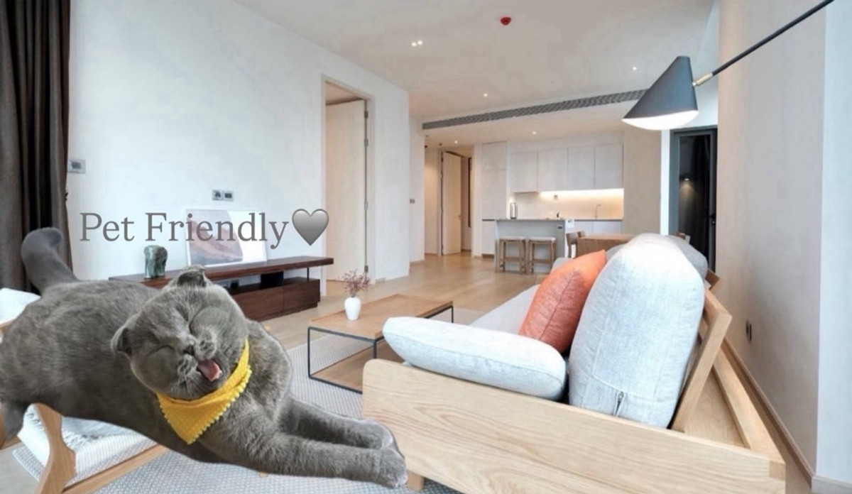 For RentCondoSukhumvit, Asoke, Thonglor : The Strand Thonglor 🐹🐱 Ryan animals. 🐻🐶 Retal Price: 125,000 THB/Month • 2 Bedrooms, 2 Bathrooms
