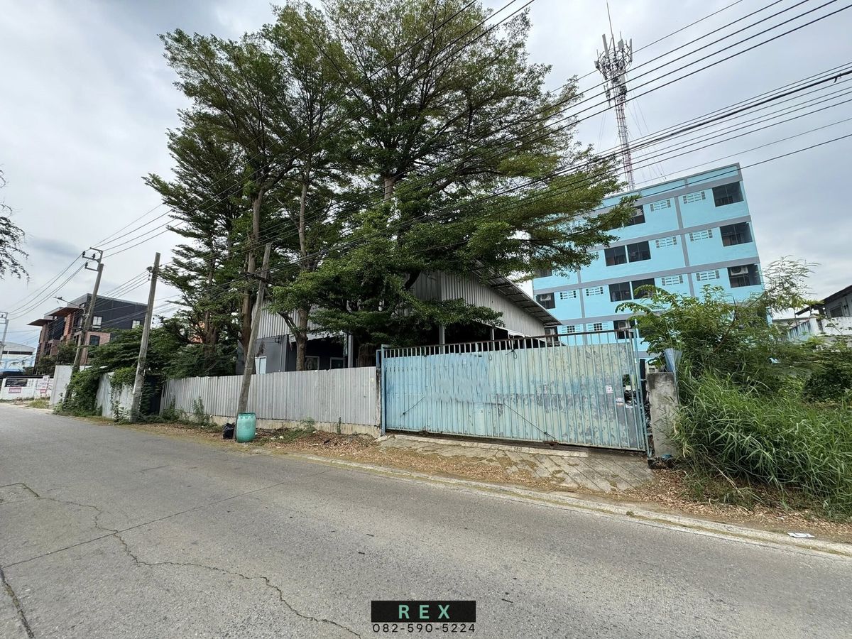 ขายที่ดินเกษตร นวมินทร์ ลาดปลาเค้า : ขาย ที่ดินพร้อมสิ่งปลูกสร้าง ประเสริฐมนูกิจ (ซอยมัยลาภ) ลาดปลาเค้า ใกล้ โรงเรียนสตรีวิทยา 2, โรงเรียนเลิศหล้า