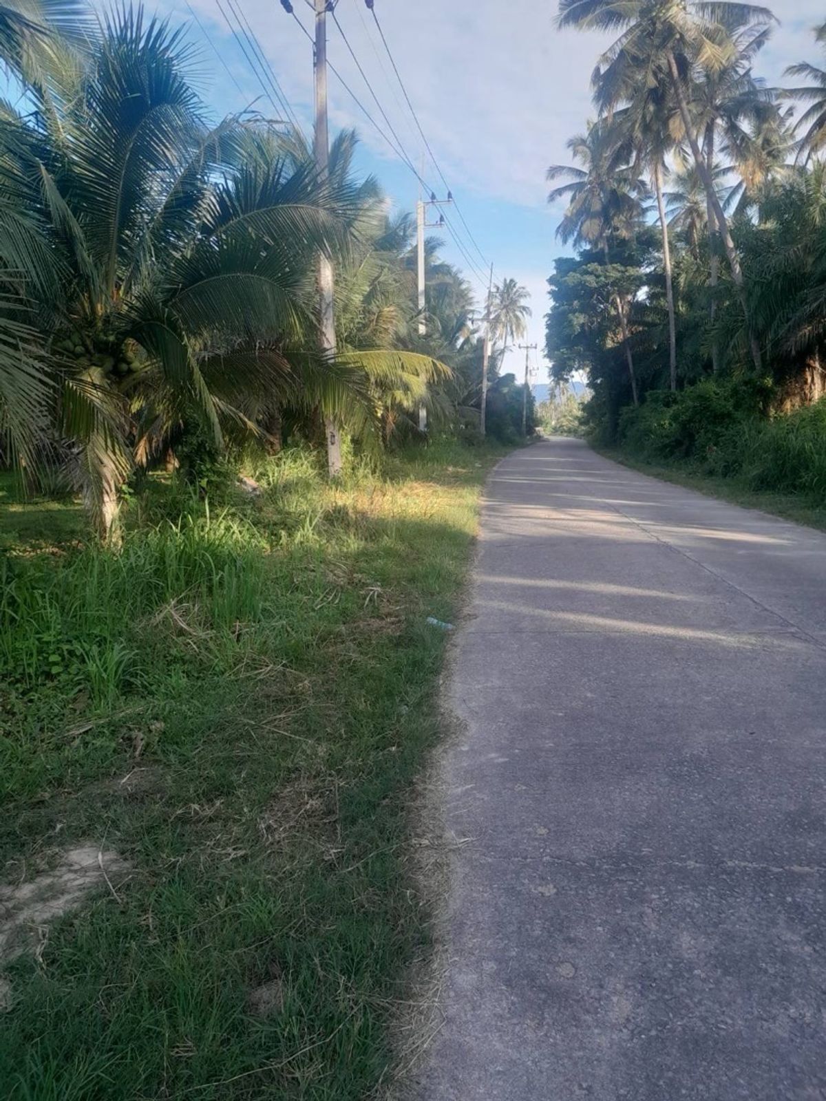 For SaleLandHuahin, Prachuap Khiri Khan, Pran Buri : At the coconut garden, Thap Sakae