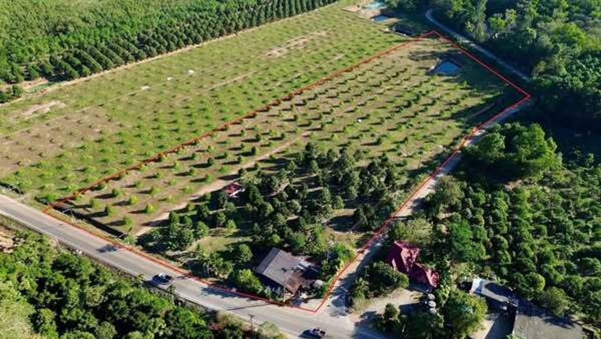 For SaleLandChanthaburi : Land for sale with durian gardens Next to the Chanthaburi Rural Road 1028, near the community, Wang Mai Subdistrict, Nai Am District, Chanthaburi Province