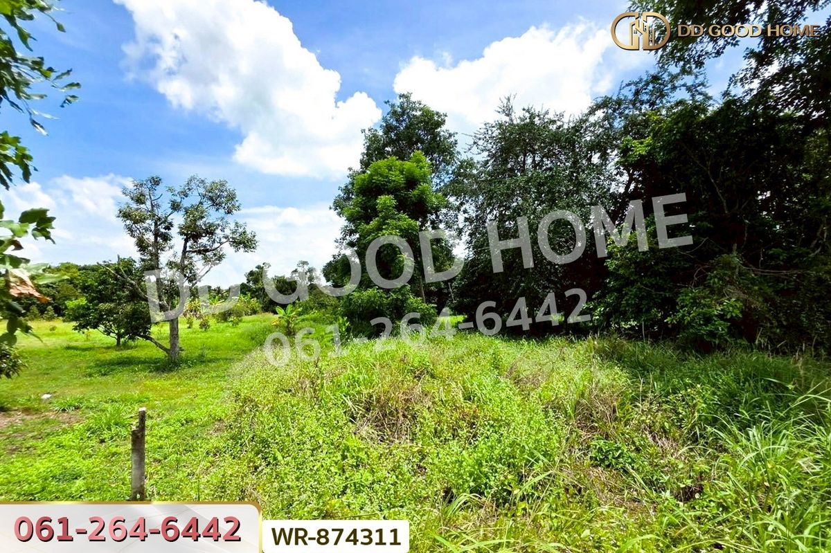 ขายที่ดินปราจีนบุรี : WR-874311 ที่ดินเมืองปราจีนบุรี 4 ไร่ ใกล้โรงพยาบาลค่ายจักรพงษ์