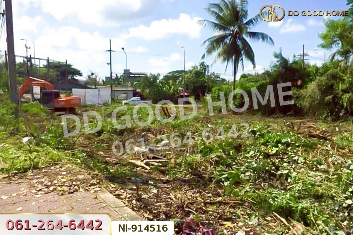 For SaleLandNakhon Si Thammarat : NI-914516 Land in Pak Phanang, 213.8 sq. wah, Chamuk Khwai Intersection, Nakhon Si Thammarat, near Pak Phanang Retro Market