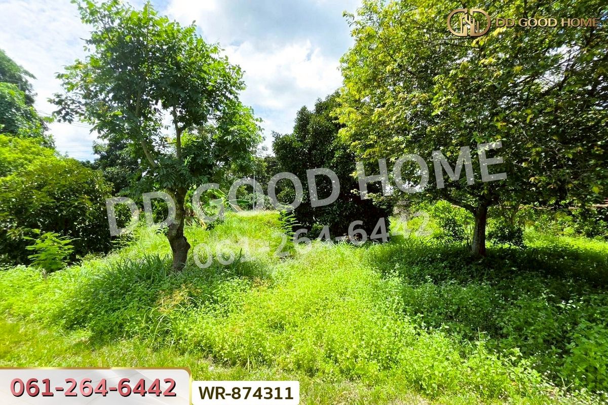 ขายที่ดินปราจีนบุรี : WR-874311 ที่ดินเมืองปราจีนบุรี 4 ไร่ ใกล้โรงพยาบาลค่ายจักรพงษ์