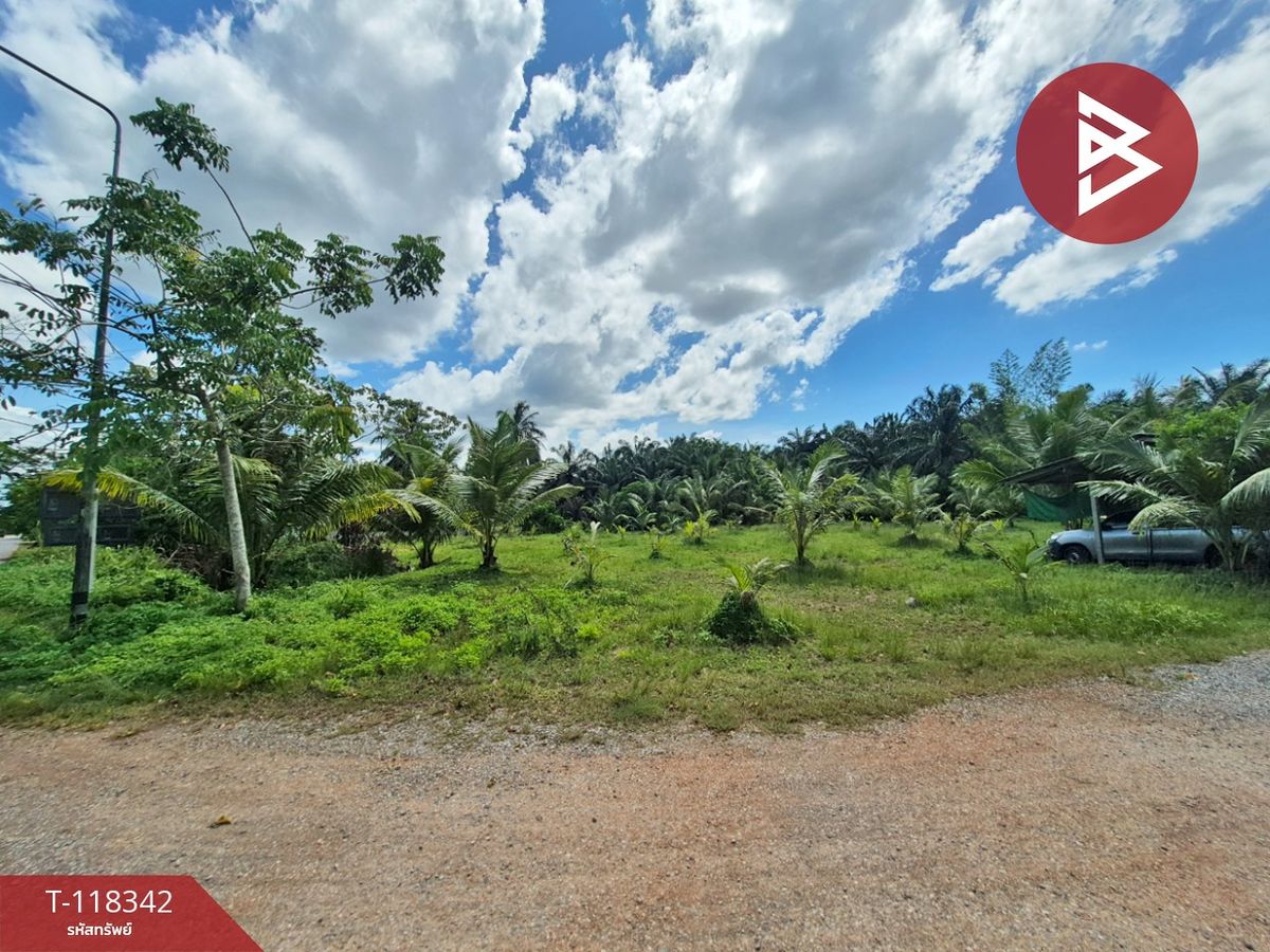 For RentLandChumphon : Land for rent, area of 4 rai 88 square wah, Swi Chumphon District, good location on the main road