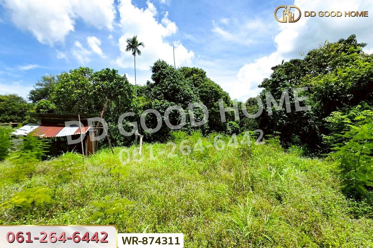 ขายที่ดินปราจีนบุรี : WR-874311 ที่ดินเมืองปราจีนบุรี 4 ไร่ ใกล้โรงพยาบาลค่ายจักรพงษ์