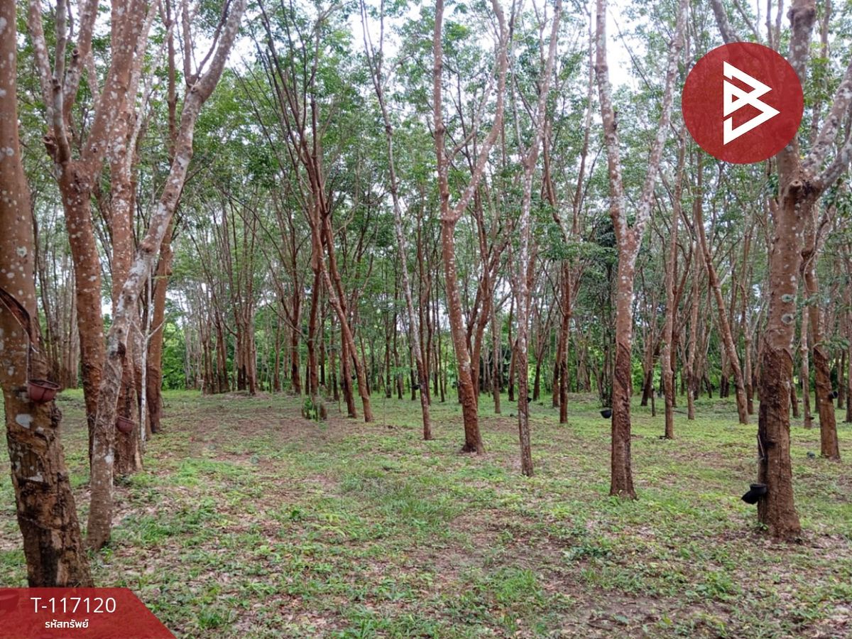 ขายที่ดินสกลนคร : ขายที่ดิน เนื้อที่ 12 ไร่ บ้านม่วง สกลนคร