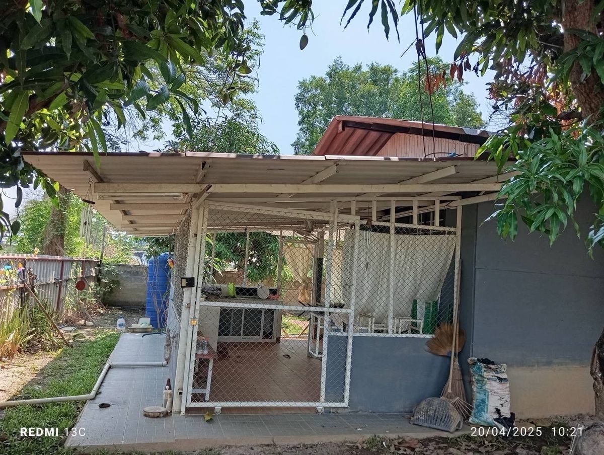 For SaleHouseChiang Mai : Urgent sale, big house, special price, Chiang Mai forest