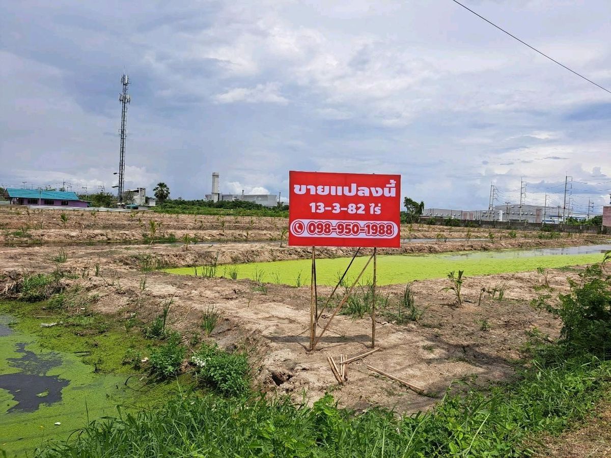 ขายที่ดินฉะเชิงเทรา : ขายที่ดิน ใน เขต EEC  อยู่ด้านหน้า นิคมอุตสาหกรรม BP ผังสีม่วงลาย คลองประเวศ อ.บ้านโพธิ์ จ.ฉะเชิงเทรา