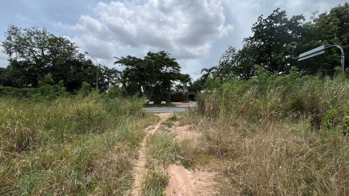 ขายที่ดินระยอง : ขายที่ดินติดถนนซอย11 นิคมพัฒนา ระยอง 22-3-74.5 ไร่