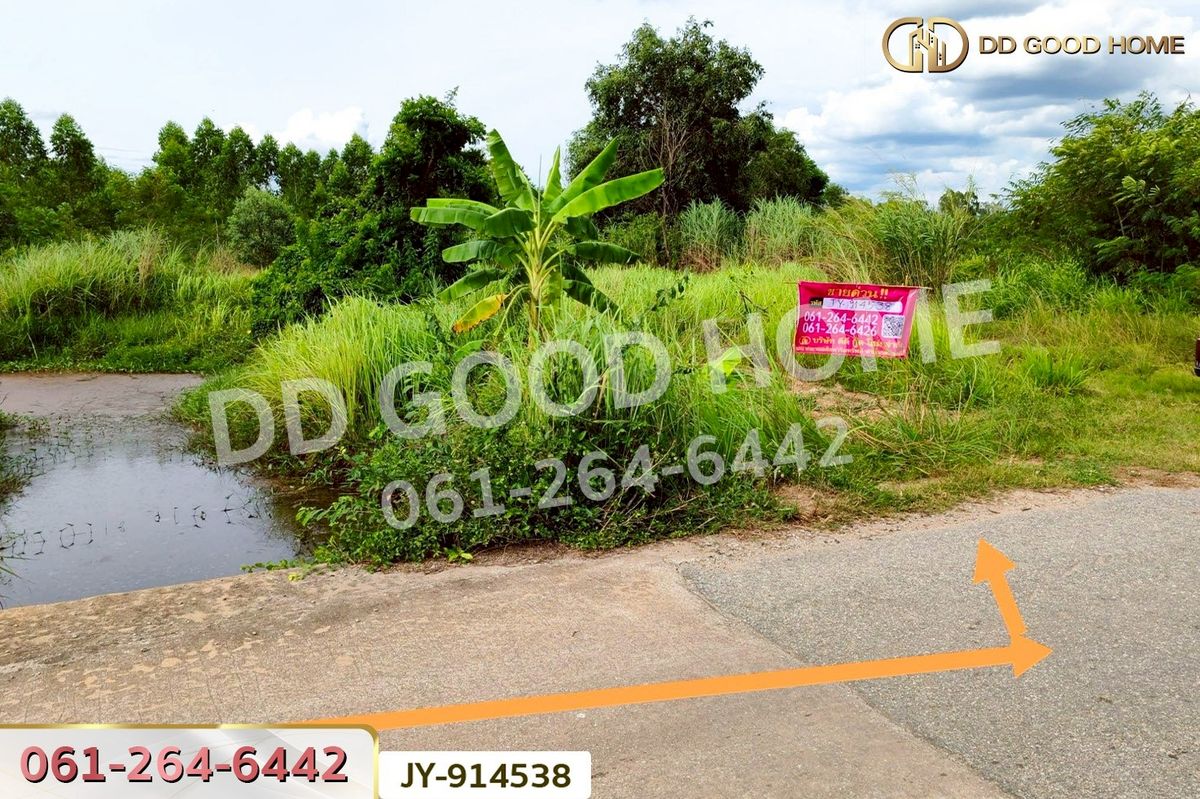 ขายที่ดินฉะเชิงเทรา : DD-914538 ที่ดินพนมสารคาม 9 ไร่ ซ.เทศบาล 1 ฉะเชิงเทรา ใกล้องค์การบริหารส่วนตำบลเขาหินซ้อน