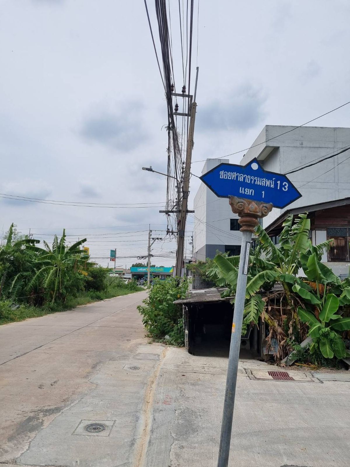 For SaleLandPhutthamonthon, Salaya : Land for sale Near Borommaratchachonnani Road