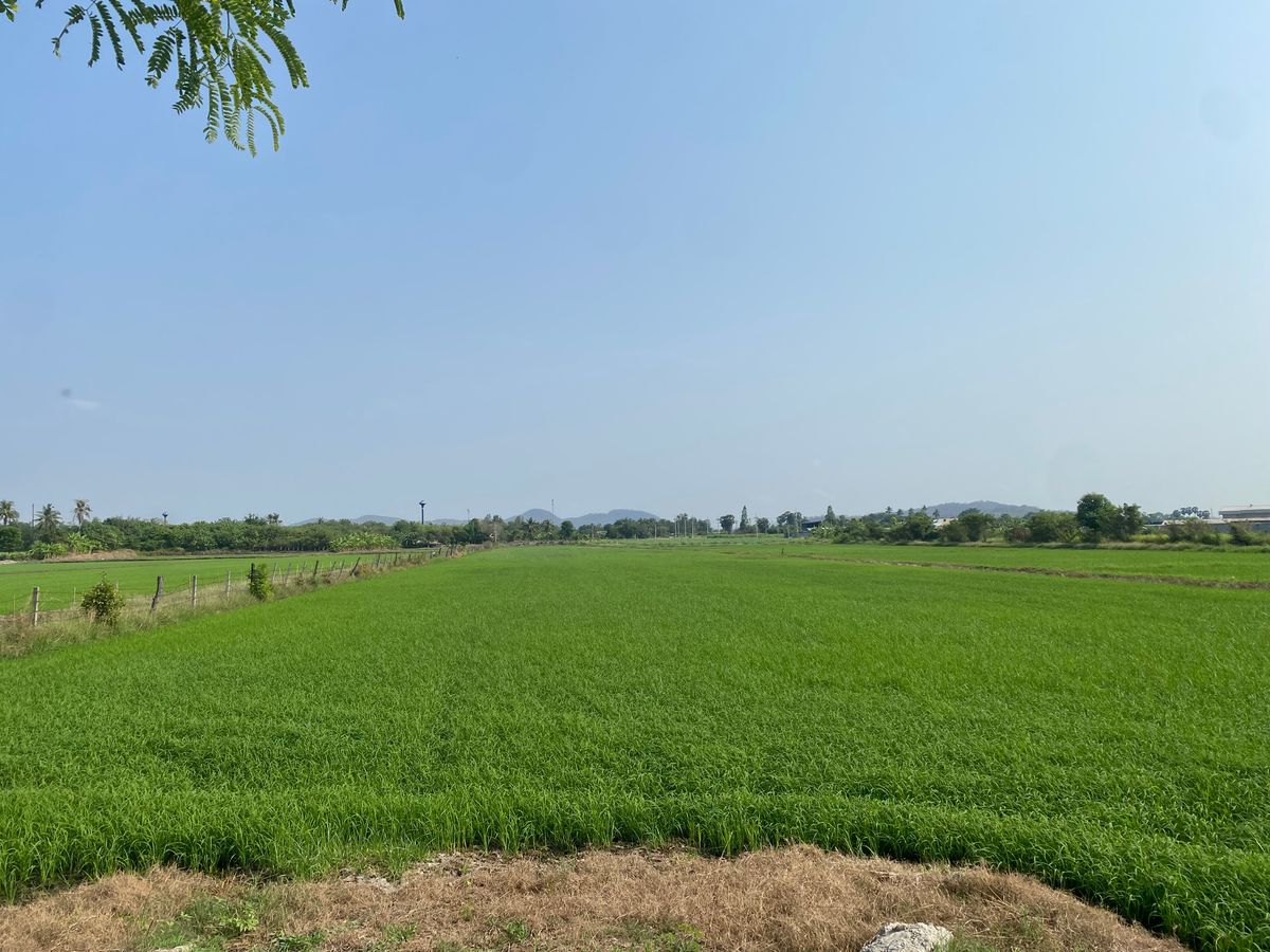 For SaleLandRatchaburi : Land for sale 10 rai 3 jobs, Ban Pong District, Ratchaburi Province, 290,000 baht per rai