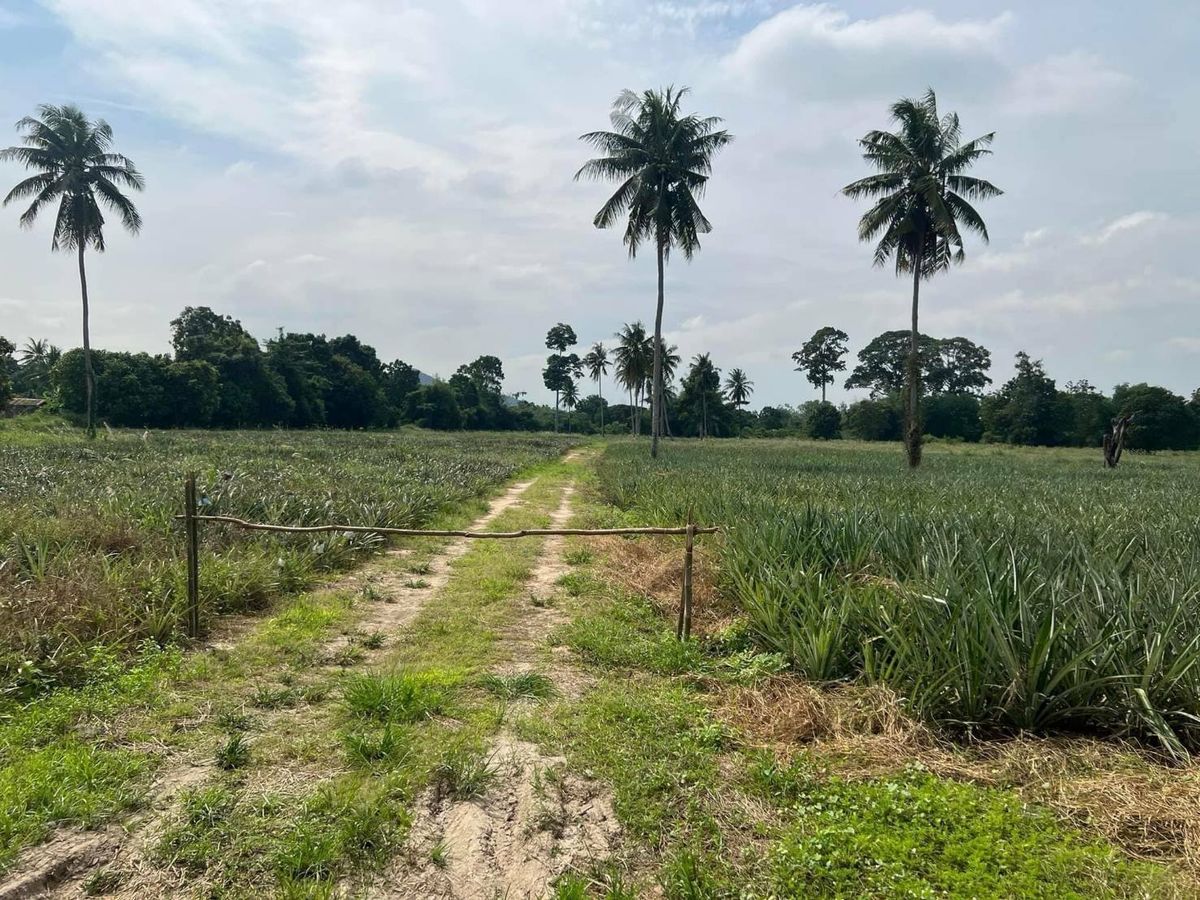For SaleLandCha-am Phetchaburi : Land for sale in Sam Phraya Cha-am, Phetchaburi Province, 19-1-97 rai Suitable to buy for investment. Price 25 MB.*