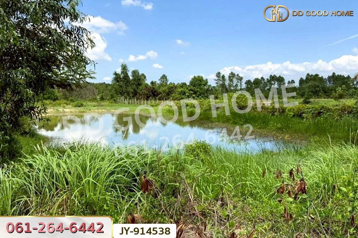 ขายที่ดินฉะเชิงเทรา : DD-914538 ที่ดินพนมสารคาม 9 ไร่ ซ.เทศบาล 1 ฉะเชิงเทรา ใกล้องค์การบริหารส่วนตำบลเขาหินซ้อน