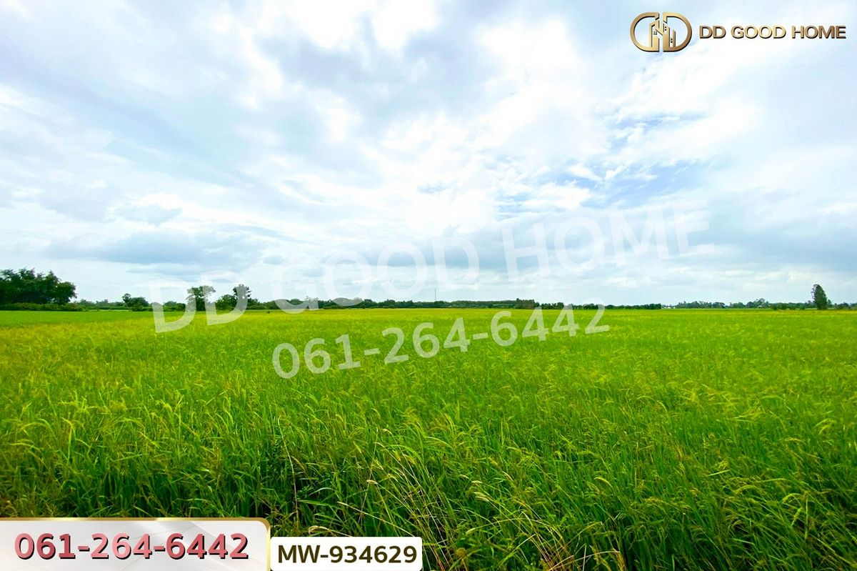 ขายที่ดินอ่างทอง : AW-934629 ที่ดินแสวงหา 5 ไร่ 337 ตร.ว. อ่างทอง ใกล้วัดบ้านพราน