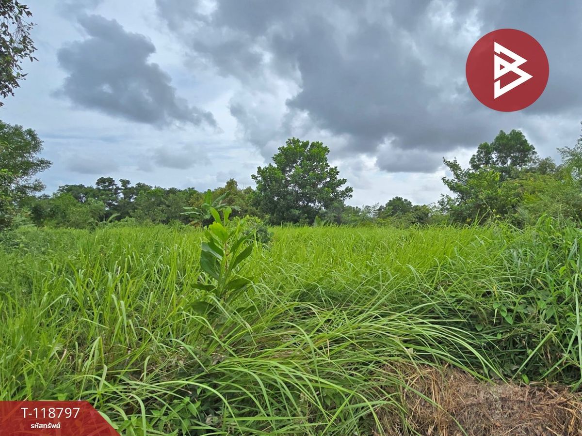 For SaleLandChanthaburi : Land for sale, area 3 rai 50 sq.w. Ko Kwang, Chanthaburi
